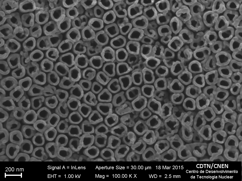 Imagem de estrutura de nanoporos de carbono obtida no MEV-CDTN