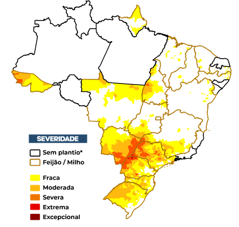 Figura 1 – Severidade da seca (IIS1) referente ao mês de janeiro considerando apenas os estados com calendário vigente.