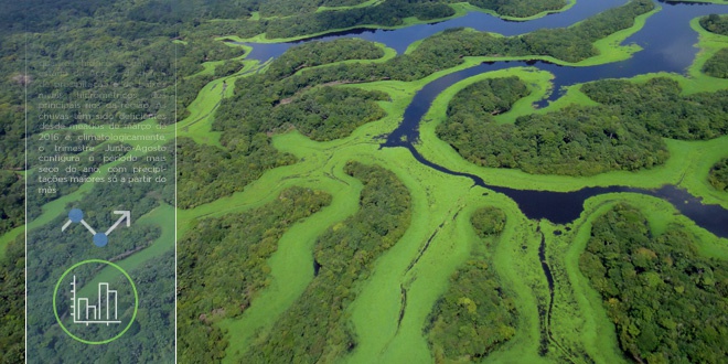 amazonia-1.jpg