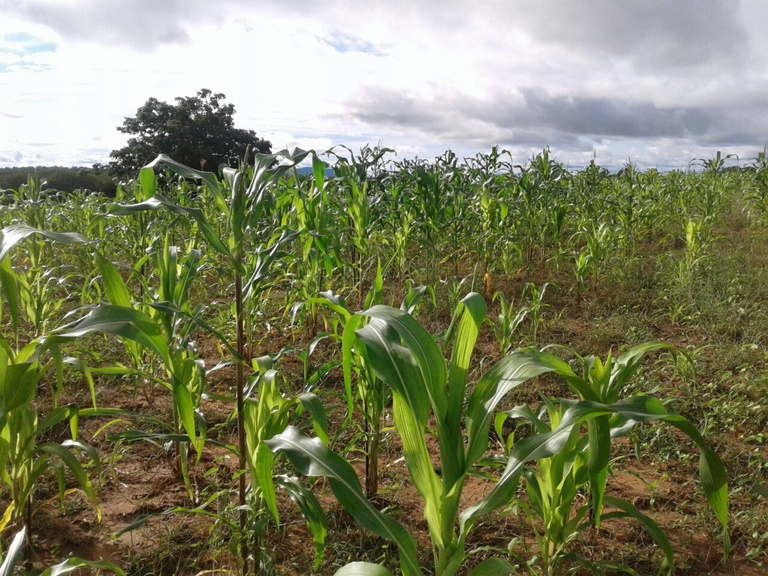 agrispport_3.jpg