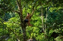 Quilombo Fazenda