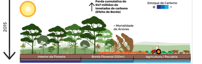 CRBio-03 - Conselho Regional de Biologia 3ª Região - O REDD (Redução das  Emissões por Desmatamento e Degradação florestal) ou, em inglês, Reducing  Emissions from Deforestation é um conjunto de incentivos econômicos