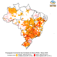 Entre 2023 e 2024, cerca de 60% do território brasileiro foi afetado pela seca extensa e intensa, aponta Nota Técnica do Cemaden