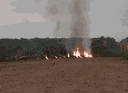 Foto_IF-Incêndio-Florestal-1-.gif