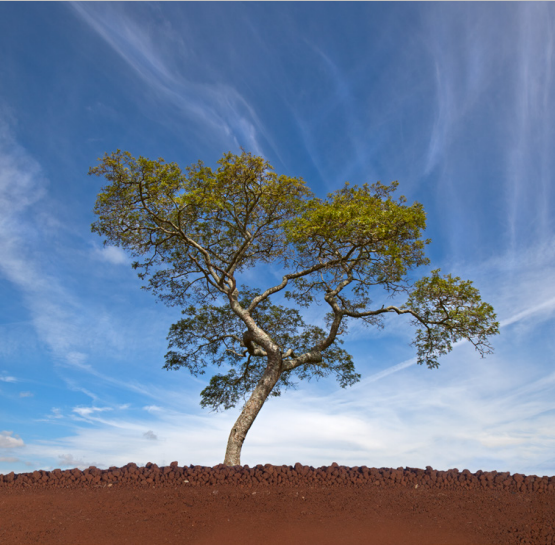 Foto ilustração Artigo Victor Marchezini- jan 2023.png