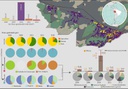 Gráfico-Queimadas-Incêndios-florestais-Acre-pesquisa-Liana.jpg