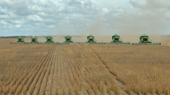 Foto- Pesquisa Marengo - fonte Chain Reaction  Research -.jpg