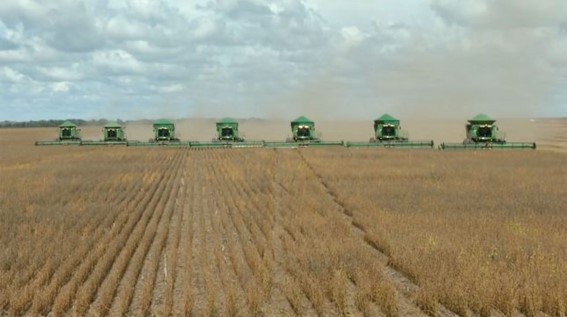 Foto- Pesquisa Marengo - fonte Chain Reaction  Research -.jpg