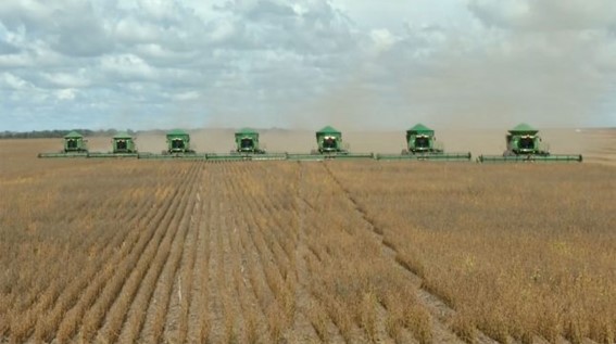 Foto- Pesquisa Marengo - fonte Chain Reaction  Research -.jpg