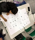 Foto Estudantes debatendo e escolhendo estratégias de mitigação de risco de desastres.jpg