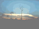 Foto_IF_4-Incêndio-florestal-fumaça.gif