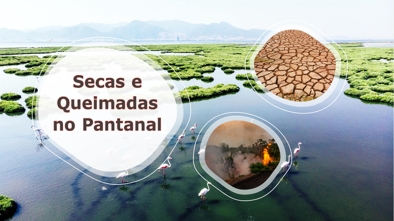 imagem_principal3-2.png