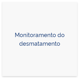 monitoramento_desmatamento.png