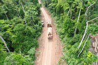 Censipam desenvolve ferramenta que auxilia na proteção do meio ambiente