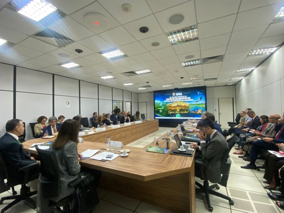 Conselho reuniu representantes de 11 ministérios e órgãos estratégicos