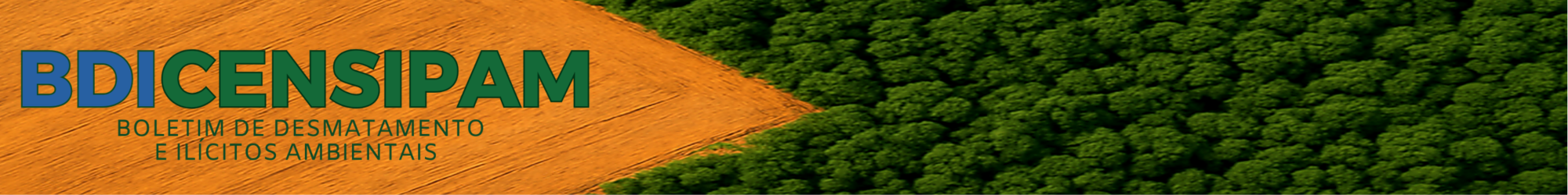Banner Boletim de Desmatamento e ilícitos ambientais