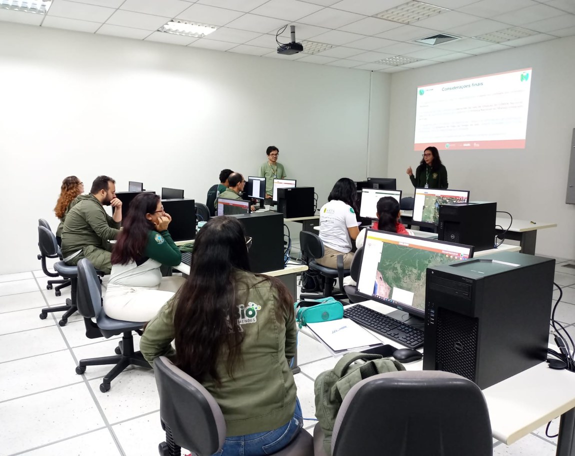 O Painel do Fogo pode ser acessado no computador e está disponível  para IOS e Android