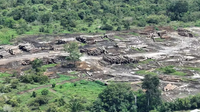 Desmatamento da Amazônia no 1º bimestre de 2024 atinge menor índice em 6 anos