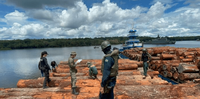 Órgãos federais unem forças contra extração ilegal de madeira na Amazônia
