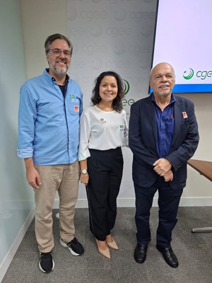 cetem-marca-presenca-workshop-estrategico-terras-raras.jpg