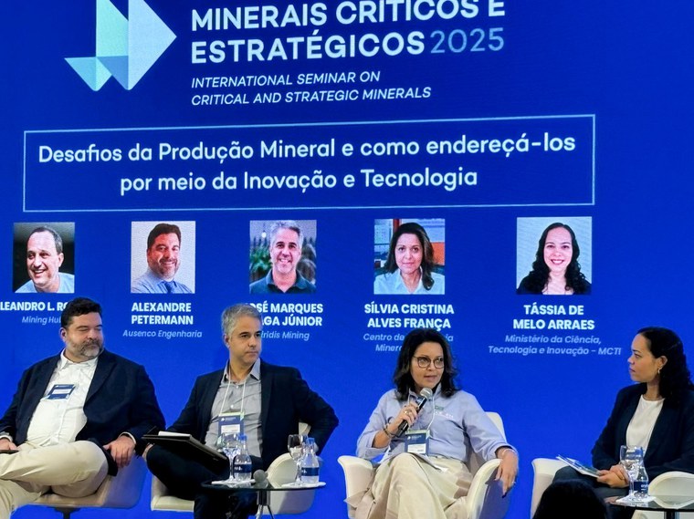 Sílvia França (CETEM) no Painel 1