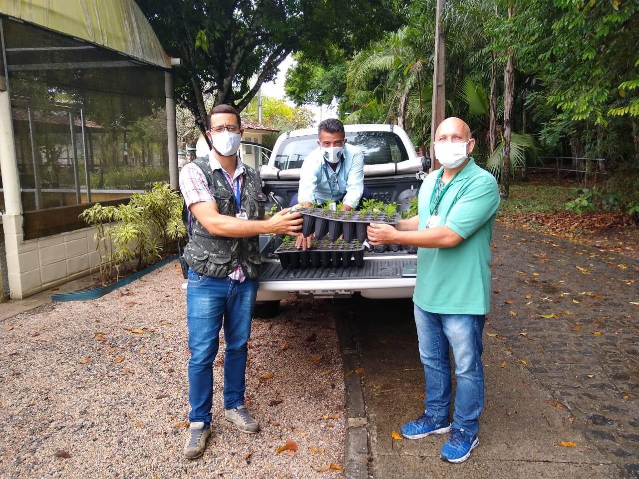 LAPAB entrega 900 mudas de arbóreas da Mata Atlântica ao Jardim Botânico do Recife