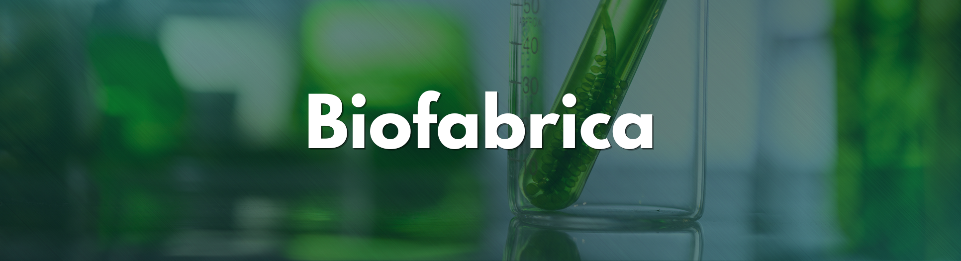 Fundo verde com tubo de ensaio. Texto: Biofábrica.