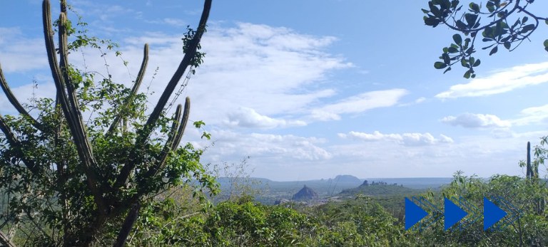 CETENE realiza expedição ao Vale do Catimbau para prospecção de sementes no Projeto Biobanco