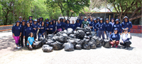 Equipe do Cetene recolhe 360 kg de lixo em mangue do Recife em ação de conscientização ambiental