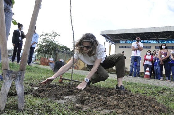 Diretora do Cetene plantou unidade do pau-brasil no campus