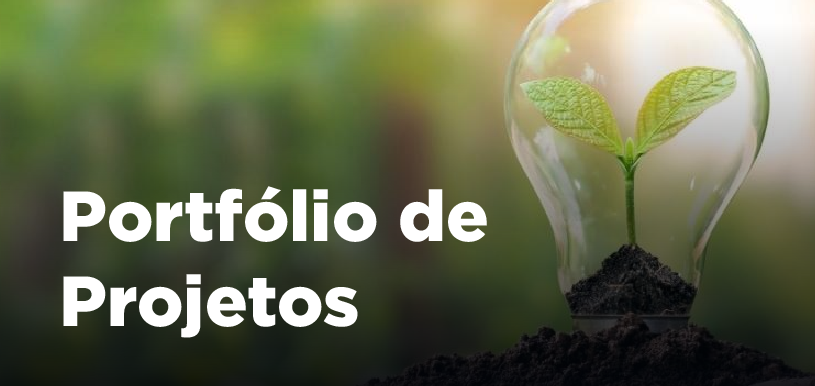 Muda de planta dentro de uma lâmpada com fundo verde. Texto: Portfólio de Projetos