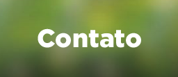 Botão com fundo verde. Texto: Contato.