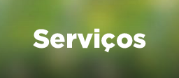Botão com fundo verde. Texto: Serviços.