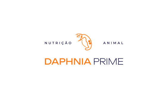 Startup Daphine