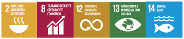 ODS - Smart Rural
