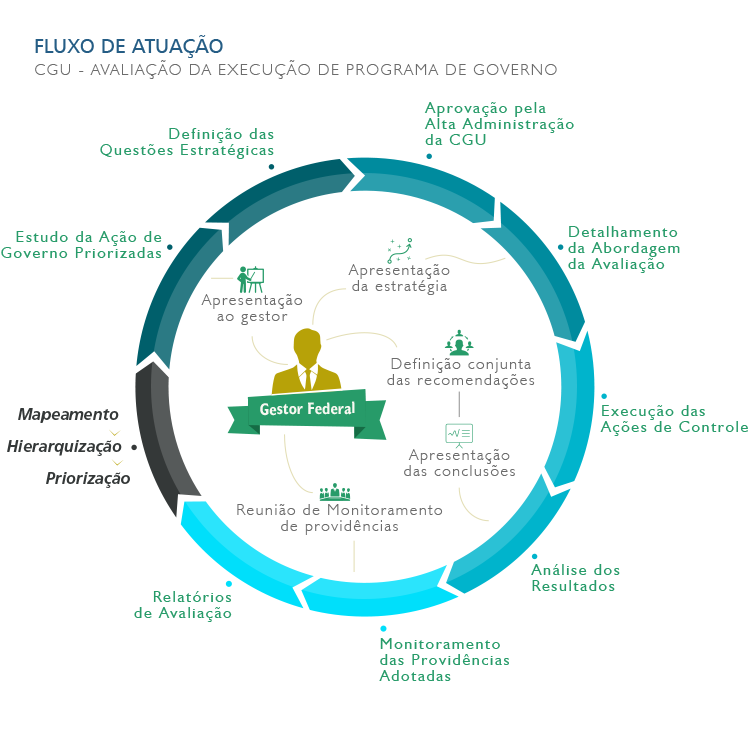 Fluxo de Atuação - Avaliação da Execução de Programa de Governo