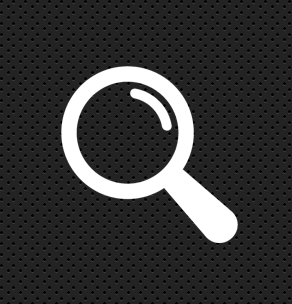 Auditoria e Fiscalização