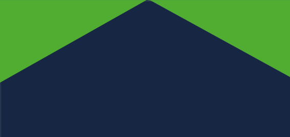 Integridade no Setor Público