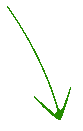 seta.png
