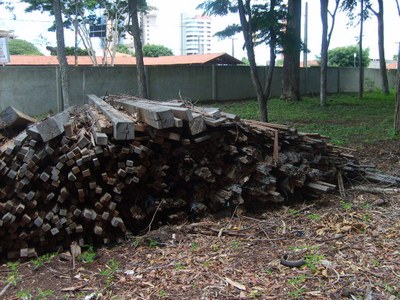Ministério da Transparência avalia ações de fiscalização ambiental realizadas pelo Ibama