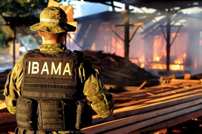 CGU avalia desempenho e gestão do processo sancionador ambiental do IBAMA