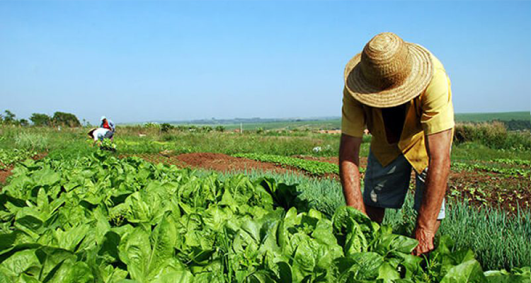 CGU, PF e MPF apuram irregularidades com recursos da Reforma Agrária na Paraíba