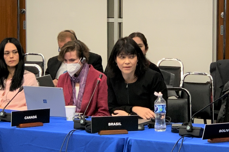 Secretária-Executiva da CGU participa de reunião para acompanhamento da implementação da Convenção Interamericana
