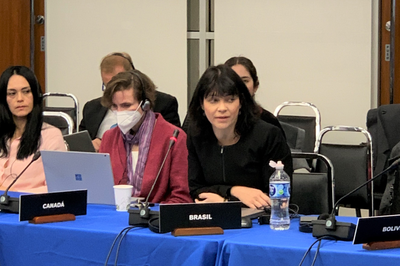 Secretária-Executiva da CGU participa de reunião para acompanhamento da implementação da Convenção Interamericana