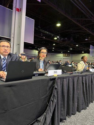 Brasil promove debate sobre prevenção da corrupção em reunião da ONU