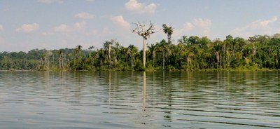 CGU Avalia Mercado de Carbono no Brasil: Oportunidades e Desafios para a Geração de Créditos em Florestas Públicas