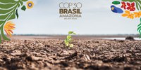 CGU na COP30: Controladoria promove painel sobre governo aberto e políticas climáticas durante a COP30 em Belém