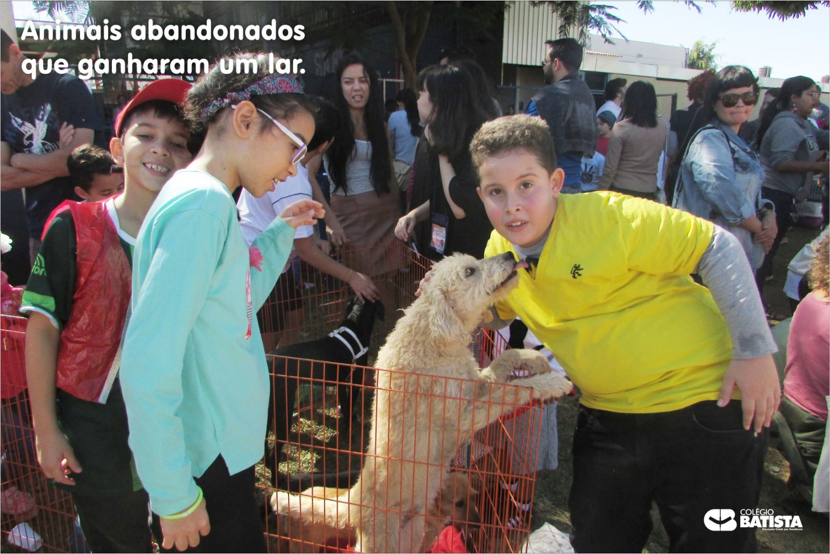 Colégio Batista de Brasília