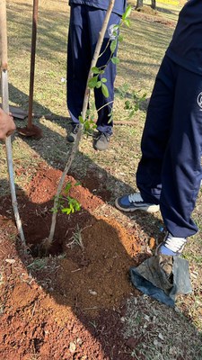 COLÉGIO ESTADUAL DR. WILLIE DAVIDS