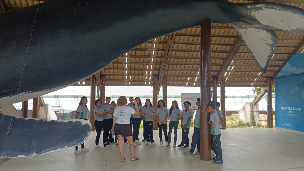 ESCOLA ESTADUAL VALE DO MUCURI